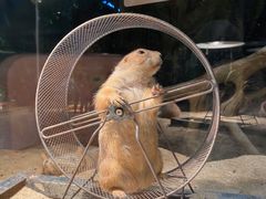 -绿色星球动物主题公园