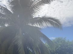 -三亚海棠湾喜来登度假酒店