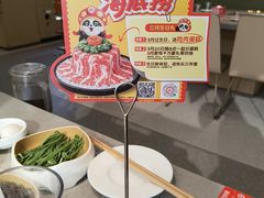 -海底捞火锅(赛格国际购物中心店)