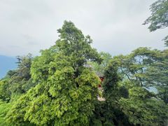 -青城山