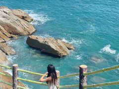 -广东惠东海龟国家级自然保护区