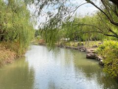 -上海滨江森林公园