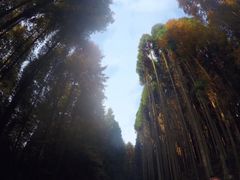 -山王坪喀斯特国家生态公园