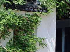 -苏州文庙(姑苏区)