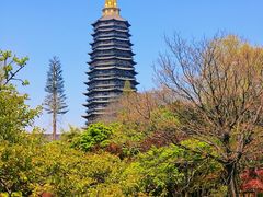 -红梅公园