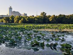 -长春市南湖公园