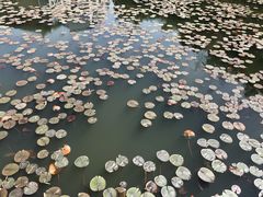 -西湖天地