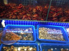 -必点海鲜·鲅鱼水饺(鞍山西道店)