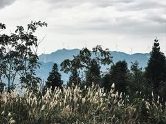 -山王坪喀斯特国家生态公园