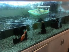-西新饭店(城中店)