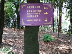 -滴水岩森林公园