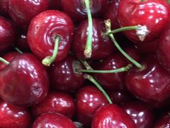 -和颐酒店(广州琶洲会展中心广州塔赤岗地铁站店)