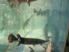 -漓江又一軒·广西菜·桂林米粉(梅林店)