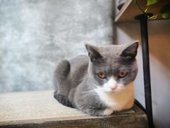 -花十悦·鲜花咖啡餐厅(振业城一期店)