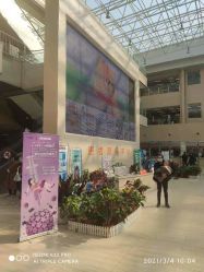 -大连市妇女儿童医疗中心