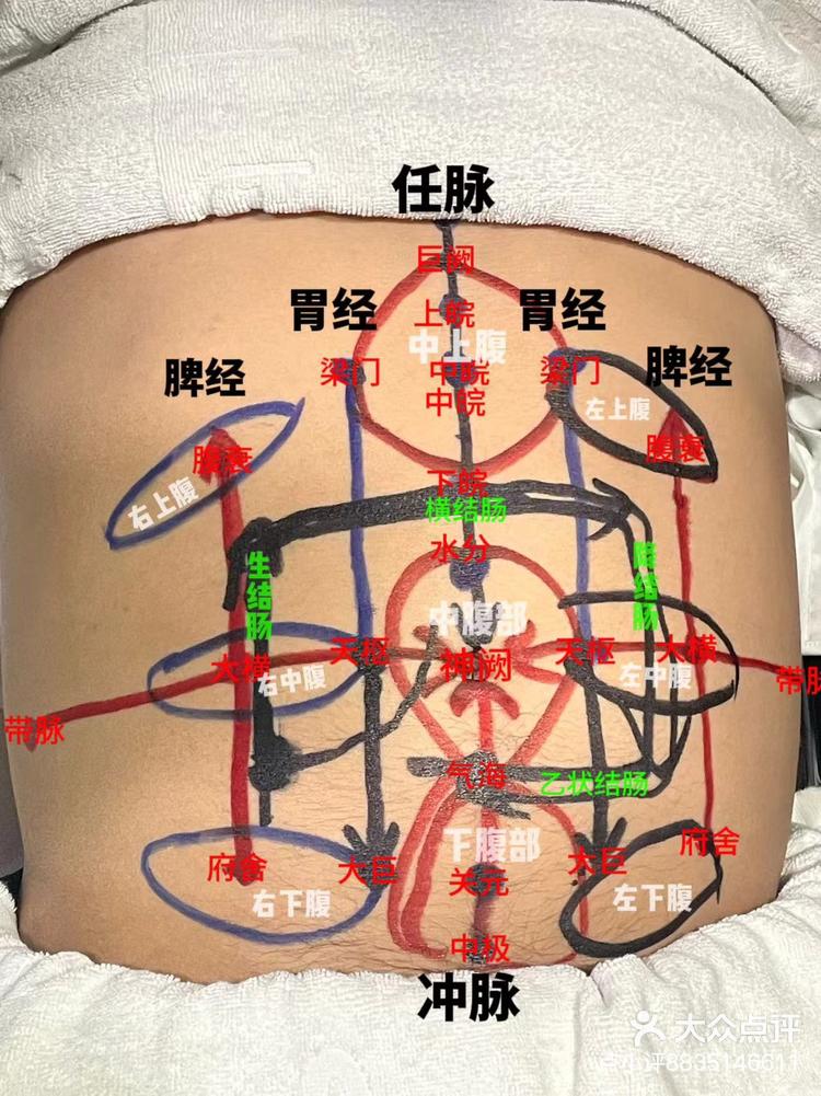 腹部的经络穴位图