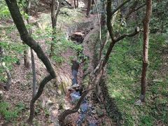 -宁波市保国寺古建筑博物馆