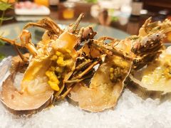 -东海怡品海鲜豆捞(星街坊店)