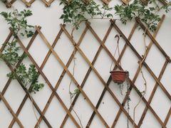 -美味之家·湖景农家乐(太湖东山店)