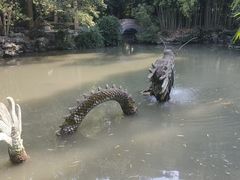 -汇龙潭