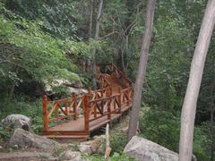 -大岭沟猕猴桃谷风景区