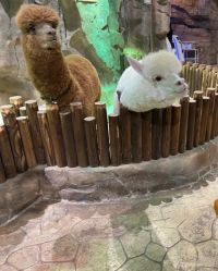 -宝燕乐园(闵行旗舰店)