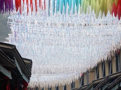 -栾川竹海野生动物园