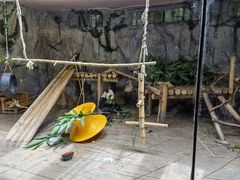 -深圳野生动物园