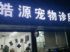-艾吉宠物医院·疑难杂症转诊中心·猫友好(碧江路院)