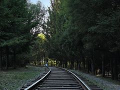 -将府公园