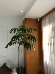 -HEYAN荷妍专业脱毛连锁机构