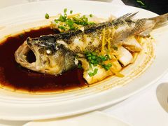 清蒸鲈鱼-眉州东坡(民族园店)