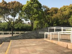 -新江湾城公园
