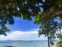-卷心菜和避孕套餐厅(Pattaya)
