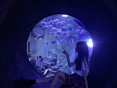 -成都浩海立方海洋公园