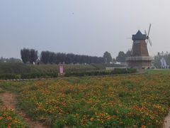 -君乐宝优致牧场