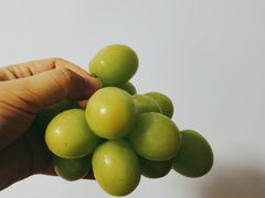 -百果园PAGODA(应元路店)