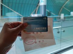 -龙阳路磁悬浮列车总站-停车场