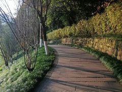 -重庆彩云湖湿地公园