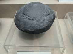 -浙江自然博物院(杭州馆)