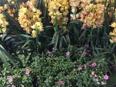 -上海昆虫博物馆