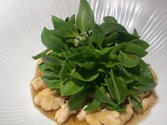 -香然会·园林雅宴(陆家嘴店)