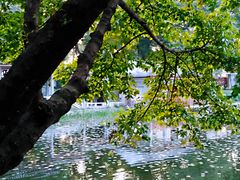 -荔湾湖公园