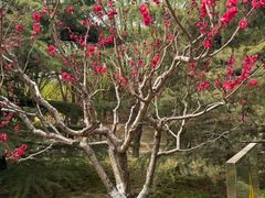 -大望京公园