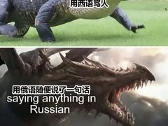 -新东方前途出国留学·小语种(解放碑中心)