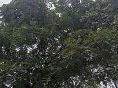 -白鹭湾湿地公园