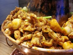 -老佛爷蛙锅•鲜蛙煲(麦凯乐店)