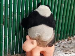 -沈阳森林动物园