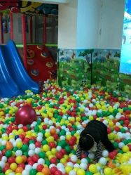 -美加乐儿童乐园(江宁文鼎广场店)