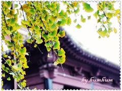 门面-明故宫遗址公园